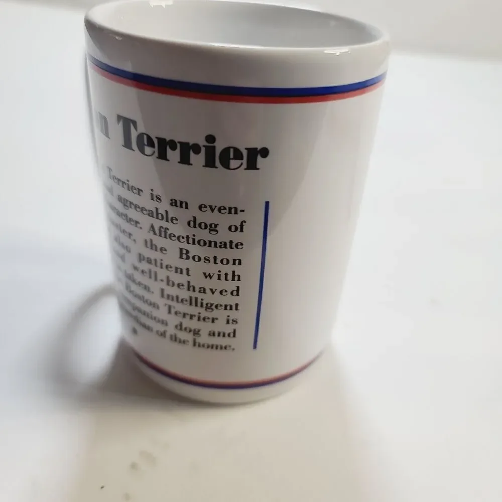 Vintage 80s R. Masthead Boston Terrier Dog Coffee Mug